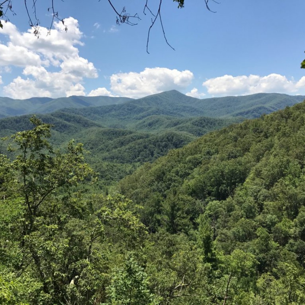 Meet your Posher, Treasure